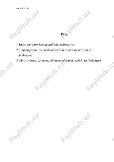 yadro, golji apparati, endoplazmatik to`r, ribosoma, mitoxondriya ularning tuzilis`hi va funksiyasi — DOC