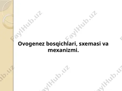 ovogenez bosqichlari, sxemasi va mexanizmi — PPTX