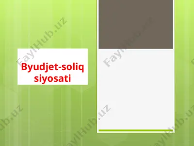 byudjet-soliq siyosati — PPTX