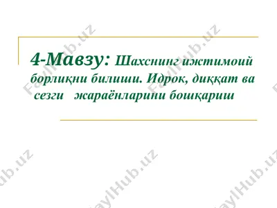 шахснинг ижтимоий борлиқни билиши — PPT