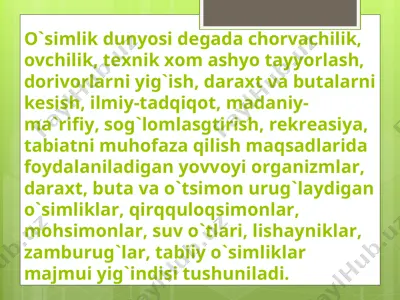 o'simliklar — PPT