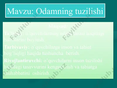odam tuzilishi — PPTX