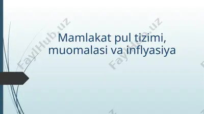 mamlakat pul tizimi, muomalasi va inflyasiya — PPTX