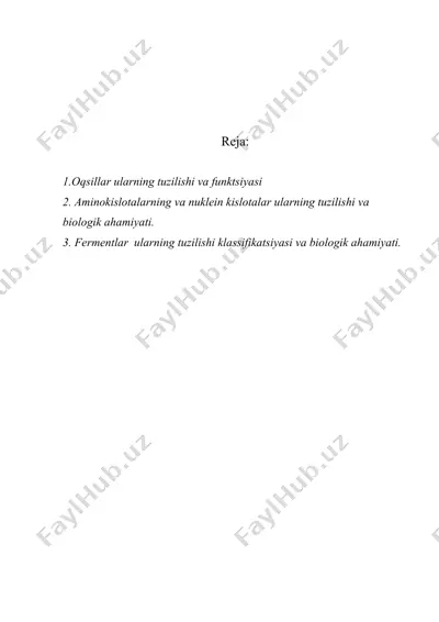oqsillar, aminokislotalar, nukliyen kislotalar, fermyentlar, ularning tuzilishi va biologik ahamiyati — DOC