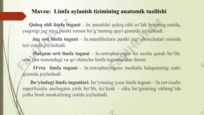 limfa tugunlari anatomiyasi — PPTX
