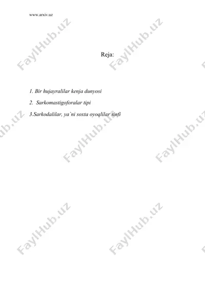 bir hujаyrаlilаr kеnjа dunyosi sаrkоmаstigоfоrаlаr tipi sаrkоdаlilаr, ya`ni sохtа оyoqlilаr sinfi — DOC