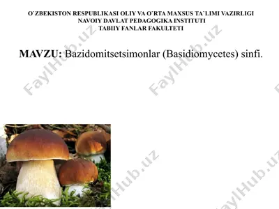 bazidоmisеtsimоnlar sinfi — PPTX