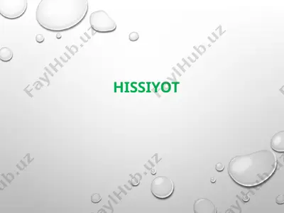 hissiyotlar — PPTX