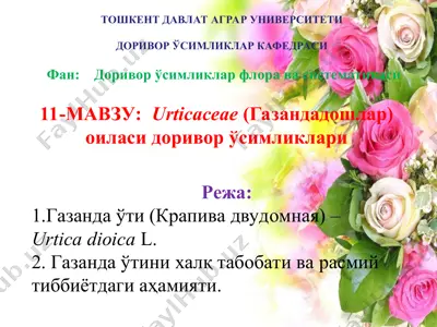 urtica dioica l. — PPT
