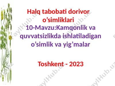 kamqonlik va quvvatsizlikda ishlatiladigan o’simlik va yig’malar — PPTX