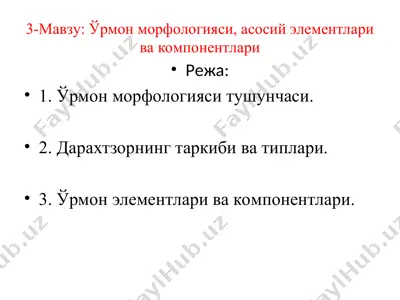 ўрмон морфологияси, асосий элементлари ва компонентлари — PPT