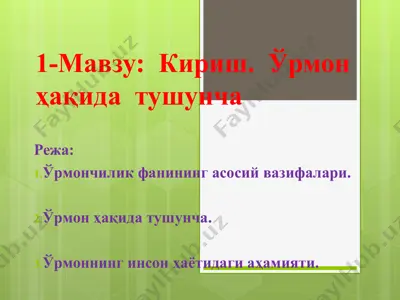 ўрмон ҳақида тушунча — PPT