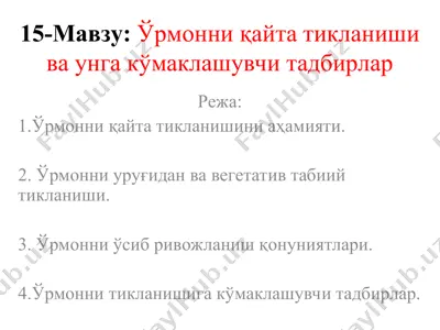 ŏrmonni qayta tiklanishi va unga ko‘maklashuvchi tadbirdlar — PPT