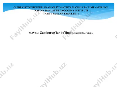 zamburug`lar — PPTX