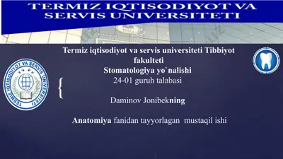 kallа suyagi: yosh va jinsiy xususiyatlar — PPTX