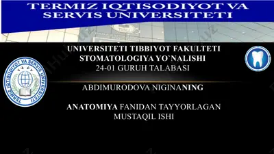abu ali ibn sino: tibbiyotning buyuk ustozi — PPTX