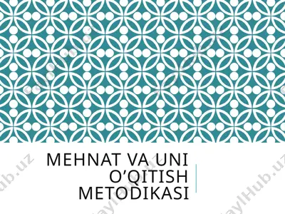 mehnat va uni o’qitish metodikasi — PPTX