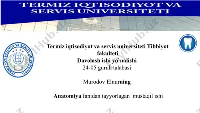 chanoq sohasi anatomiyasi — PPTX