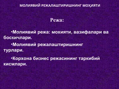 молиявий режалаштиришнинг моҳияти — PPT