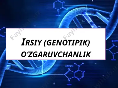 irsiy (genotipik) o‘zgaruvchanlik — PPTX