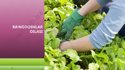 ra'nodoshlar oilasi — PPTX
