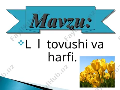 tovushlar va harflar — PPT