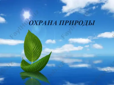 охрана природы — PPT