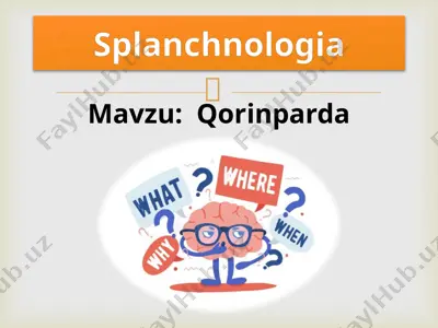 qorin parda anatomiyasi va tuzilishi — PPTX