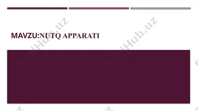 nutq aʼzolari — PPTX
