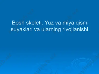 bosh skeleti. yuz va miya qismi suyaklari va ularning rivojlanishi — PPTX