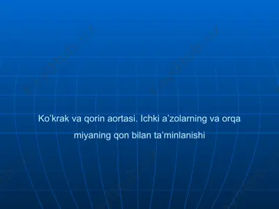 ko’krak va qorin aortasi. ichki a’zolarning va orqa miyaning qon bilan ta’minlanishi — PPTX