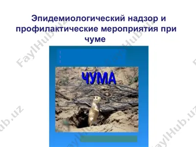 эпидемиологический надзор и профилактические мероприятия при чуме — PPT