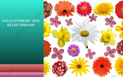 gulli o’simliklarni kelib chiqishi — PPT