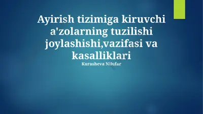 siydik pufagi tuzilishi va kasalliklari — PPTX