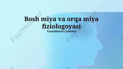 bosh miya va orqa miya fiziologoyasi — PPTX