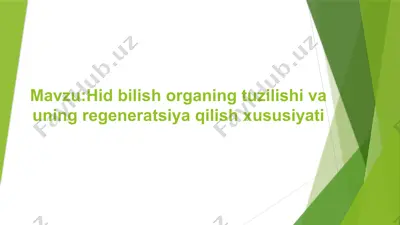 hid bilish organing tuzilishi va uning regeneratsiya qilish xususiyati — PPTX