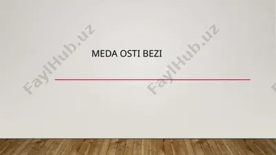 me’da osti bezi — PPTX