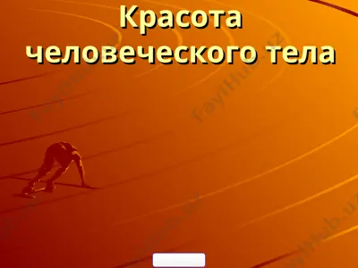 красота человеческого тела — PPT