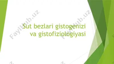 sut bezlari gistogenizi va gistofiziologiyasi — PPTX