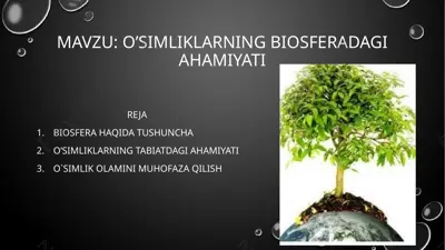 biosfera haqida tushuncha — PPTX