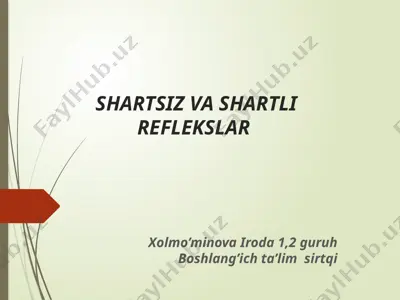 reflekslar — PPTX