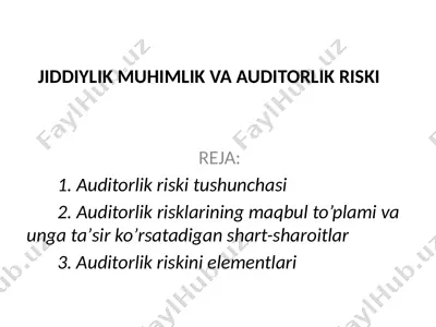 auditorlik riski tushunchasi — PPTX