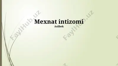 mehnat intizomi — PPTX