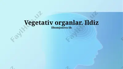ildizlar — PPTX
