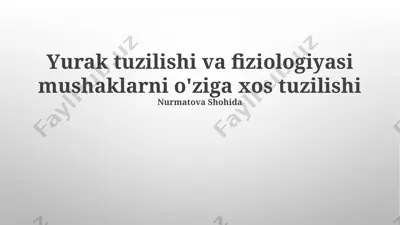 yurak tuzilishi va fiziologiyasi mushaklarni o'ziga xos tuzilishi — PPTX