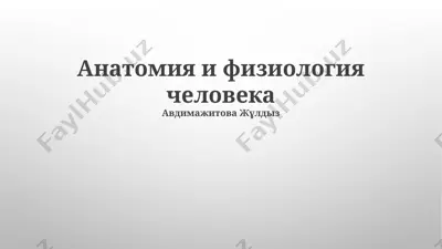 anatomiya va fiziologiya inson — PPTX