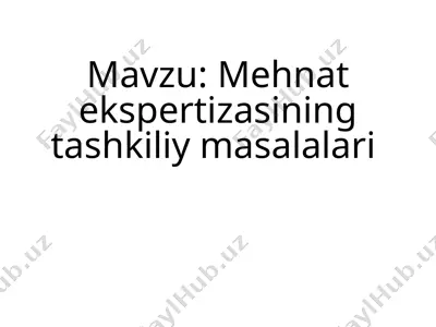 mehnat ekspertizasining tashkiliy masalalari — PPTX