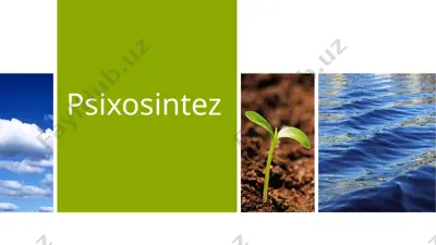 psixosintez — PPTX