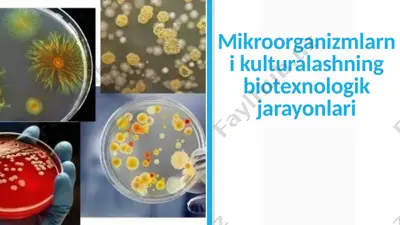 mikroorganizmlarni kulturalashning biotexnologik jarayonlari — PPTX