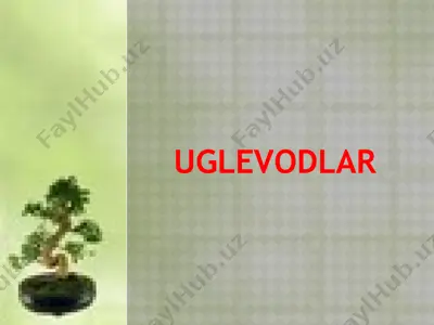 uglevodlar — PPTX